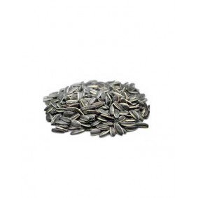 سامينسا - سوداء 