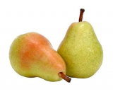 كمثرى ايطالية